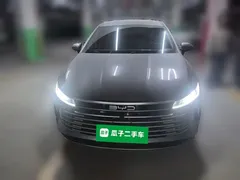 2023 BYD Destroyer 05 Champion DM-i PHEV 55km Luxury — фото 2