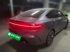 2023 BYD Destroyer 05 Champion DM-i PHEV 55km Luxury — фото 4