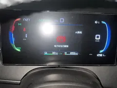 2023 BYD Destroyer 05 Champion DM-i PHEV 55km Luxury — фото 7