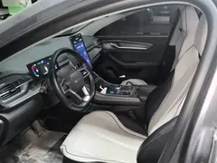 2023 BYD Destroyer 05 Champion DM-i PHEV 55km Luxury — фото 11