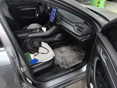 2023 BYD Destroyer 05 Champion DM-i PHEV 55km Luxury — фото 19