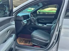 2026 BYD Song Pro DM-i PHEV 133km Exceed — фото 7