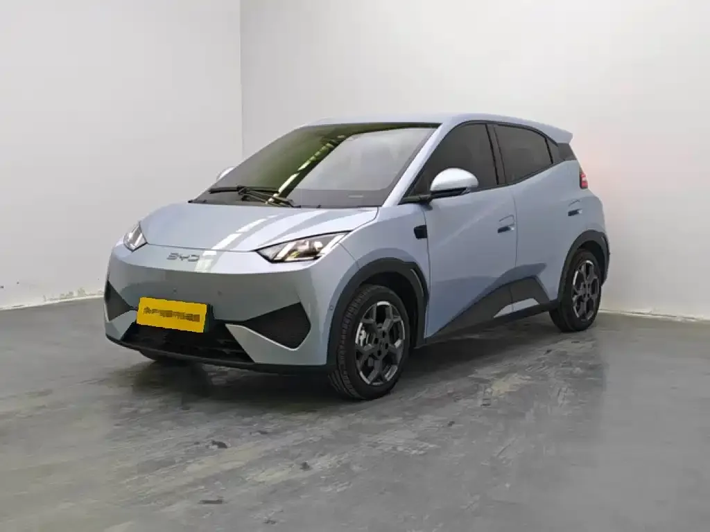 2025 BYD Seagull Smart Driving 305km Freedom