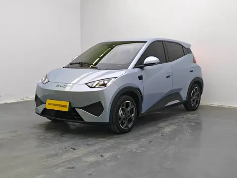2025 BYD Seagull Smart Driving 305km Freedom