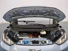2025 BYD Seagull Smart Driving 305km Freedom, синий — фото 13