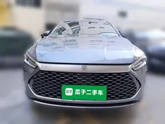 2024 BYD Qin PLUS Honor DM-i PHEV 55km Leading — фото 2