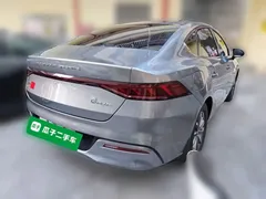 2024 BYD Qin PLUS Honor DM-i PHEV 55km Leading — фото 4