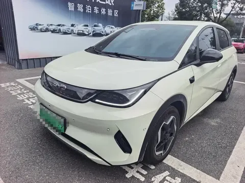 2025 BYD Dolphin Smart Driving 420km Freedom EV