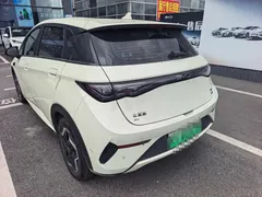 2025 BYD Dolphin Smart Driving 420km Freedom EV, белый — фото 4