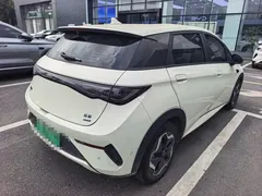 2025 BYD Dolphin Smart Driving 420km Freedom EV, белый — фото 6