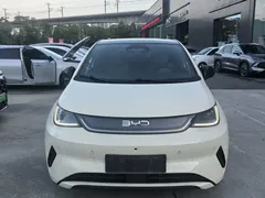 2025 BYD Dolphin Smart Driving 410km Fashion, белый — фото 2