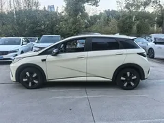 2025 BYD Dolphin Smart Driving 410km Fashion, белый — фото 3