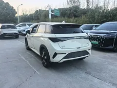 2025 BYD Dolphin Smart Driving 410km Fashion, белый — фото 4