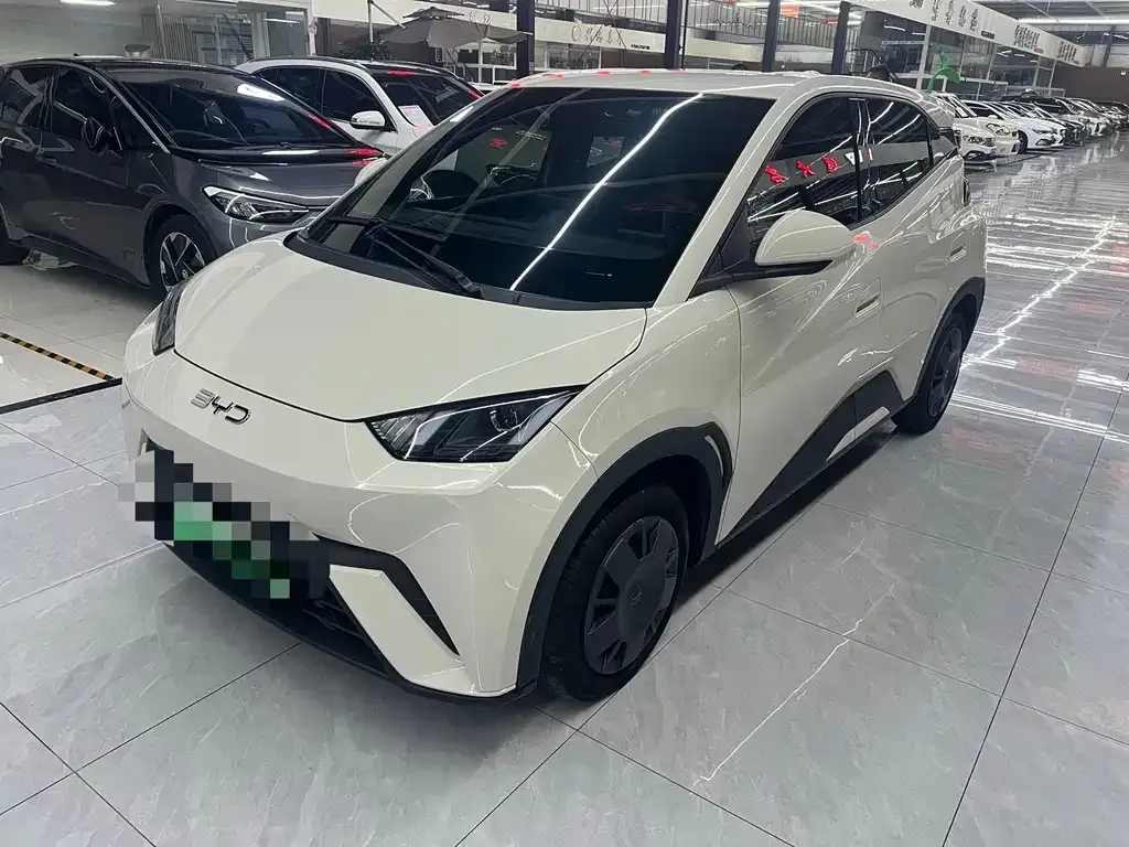 2025 BYD Seagull 305km Vitality
