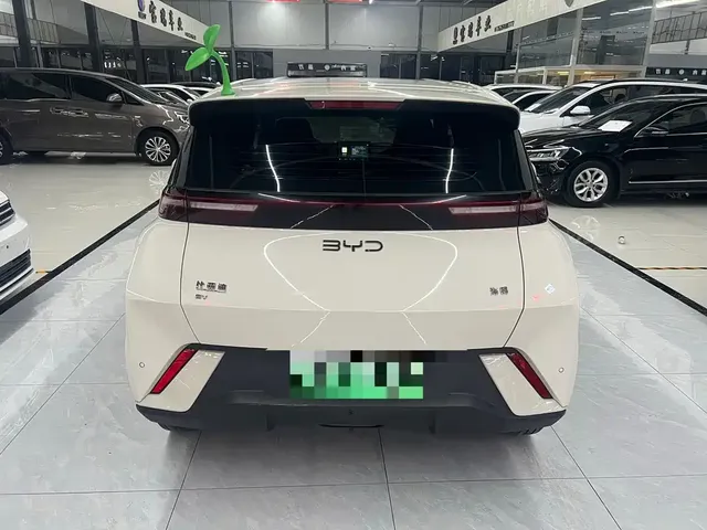 2025 BYD Seagull 305km Vitality