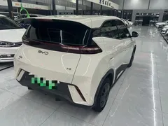 2025 BYD Seagull 305km Vitality, белый — фото 9