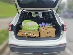 2021 Nissan Qashqai 2.0L CVT Luxury, белый — фото 15