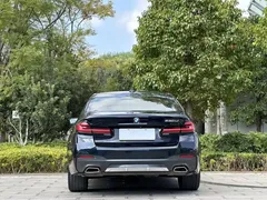2021 BMW 5 Series 530Li Leading M Sport Package, чёрный — фото 8