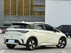 2023 BYD Dolphin 420km Fashion, белый — фото 9