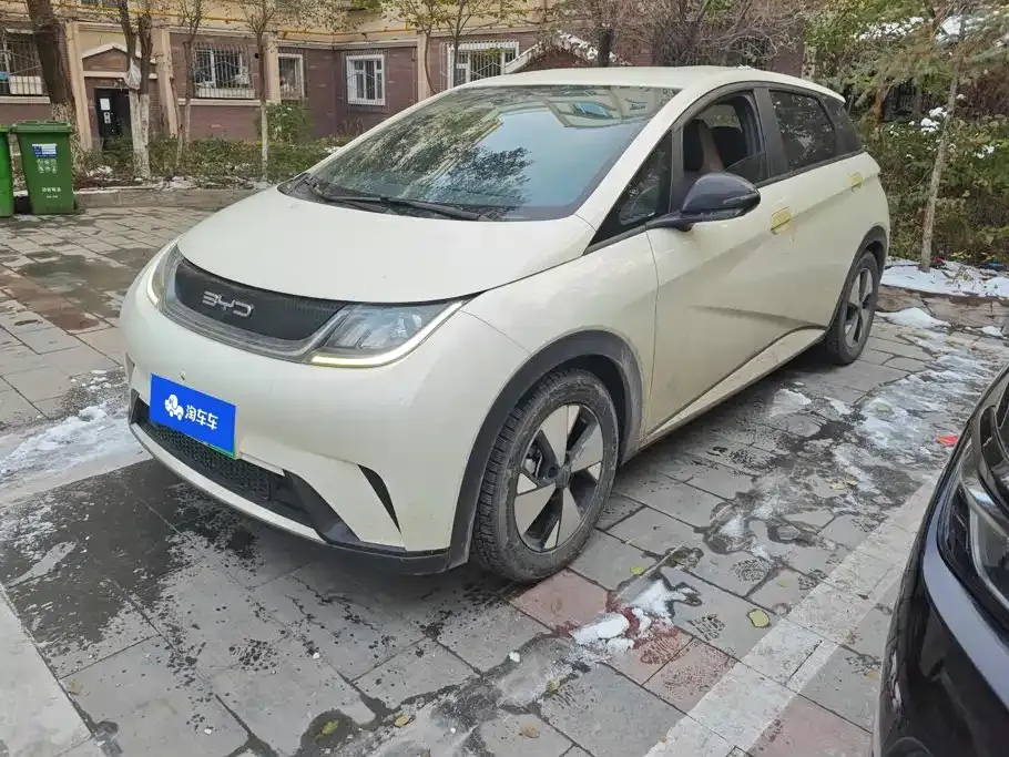 2023 BYD Dolphin 420km Freedom