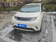 2023 BYD Dolphin 420km Freedom — фото 2