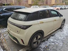 2023 BYD Dolphin 420km Freedom — фото 3