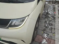 2023 BYD Dolphin 420km Freedom — фото 5