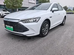 2024 BYD Qin PLUS DM-i 120KM Champion Edition Premium, белый — фото 1