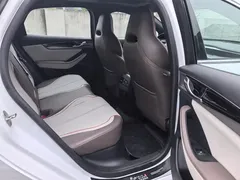 2024 BYD Qin PLUS DM-i 120KM Champion Edition Premium, белый — фото 6