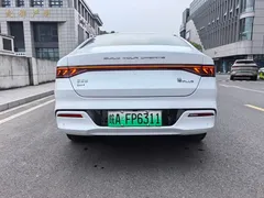 2024 BYD Qin PLUS DM-i 120KM Champion Edition Premium, белый — фото 8
