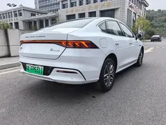 2024 BYD Qin PLUS DM-i 120KM Champion Edition Premium, белый — фото 9