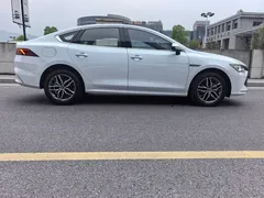 2024 BYD Qin PLUS DM-i 120KM Champion Edition Premium, белый — фото 10