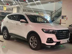 2023 Haval H6 1.5T AT Guochao Champion, белый — фото 2