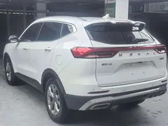 2023 Haval H6 1.5T AT Guochao Champion, белый — фото 6