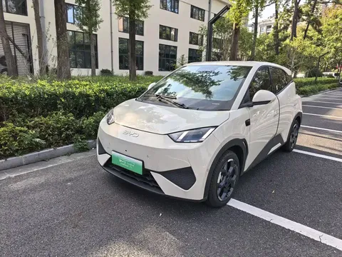 2025 BYD Seagull Smart Driving 305km Freedom