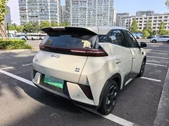 2025 BYD Seagull Smart Driving 305km Freedom, белый — фото 6