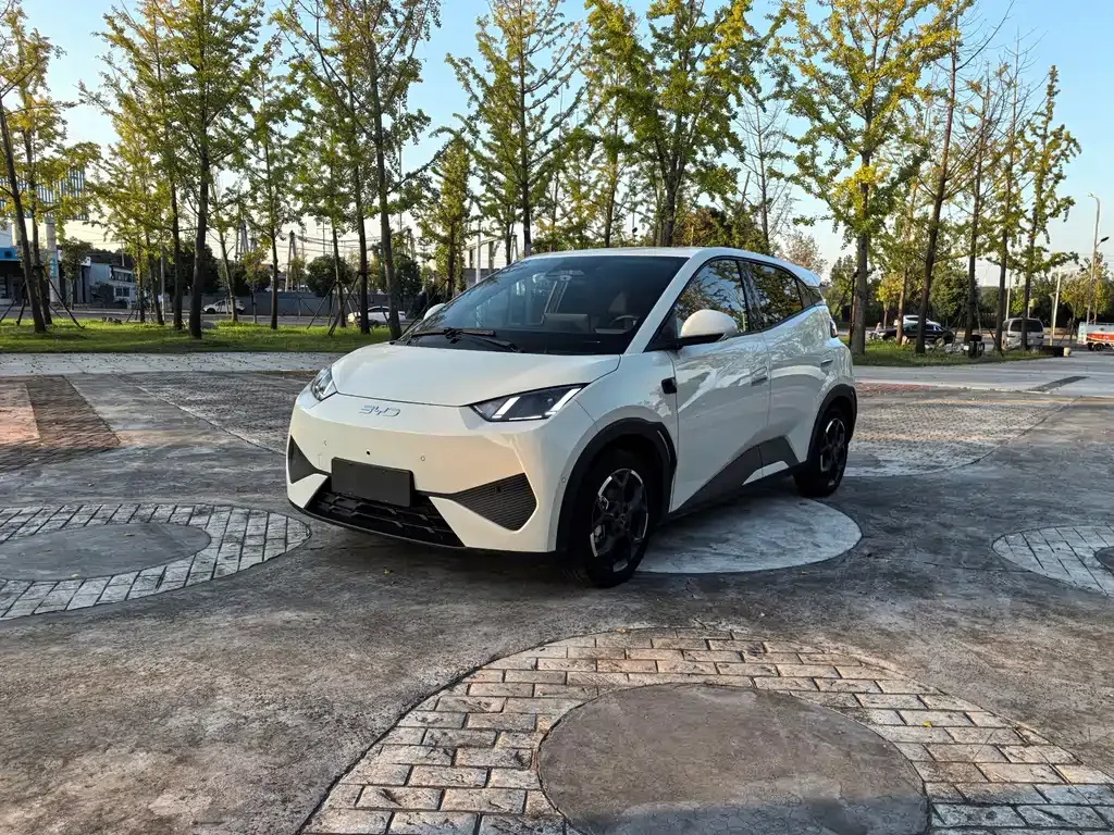 2025 BYD Seagull EV 305km