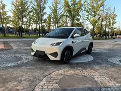 2025 BYD Seagull EV 305km, белый — фото 1