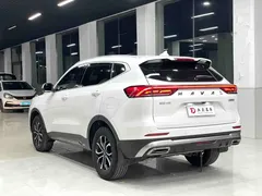 2023 Haval H6 1.5T AT Guochao Urban, белый — фото 13
