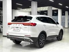 2023 Haval H6 1.5T AT Guochao Urban, белый — фото 15