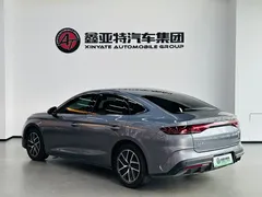 2024 BYD Qin L PHEV 80km Exceed — фото 5