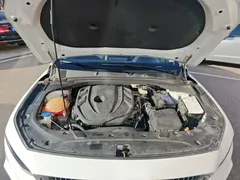 2021 Geely Preface 2.0TD Luxury, белый — фото 20
