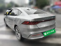2024 BYD Qin PLUS Honor DM-i PHEV 55km Leading — фото 4