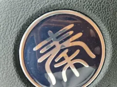 2024 BYD Qin PLUS Honor DM-i PHEV 55km Leading — фото 9