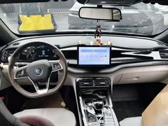 2024 BYD Qin PLUS Honor DM-i PHEV 55km Leading — фото 10