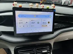 2024 BYD Qin PLUS Honor DM-i PHEV 55km Leading — фото 14