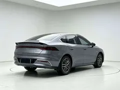 2023 BYD Qin PLUS Champion EV 510km Leading — фото 7