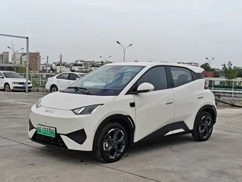 2025 BYD Seagull Smart Driving 305km Freedom