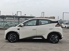 2025 BYD Seagull Smart Driving 305km Freedom, белый — фото 8