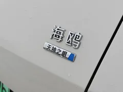 2025 BYD Seagull Smart Driving 305km Freedom, белый — фото 9